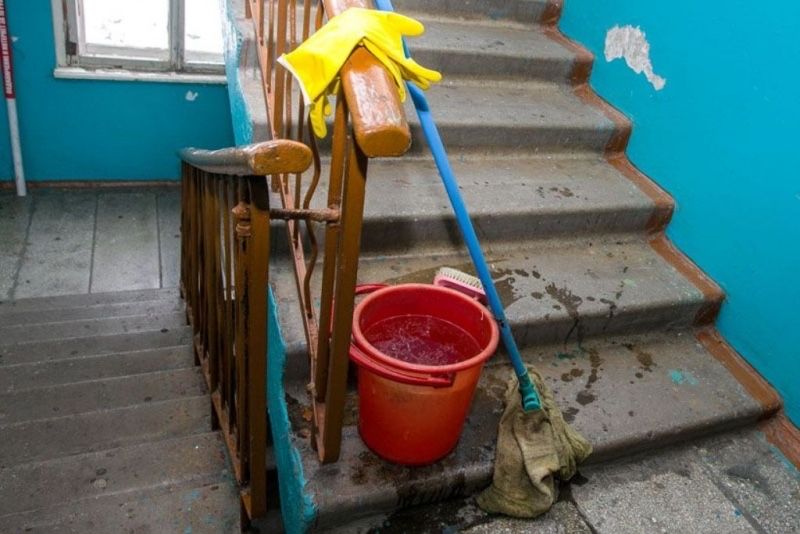 Уборка подъезда и огорода