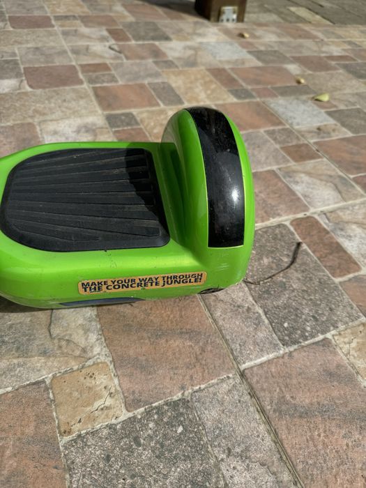Hoverboard monkey