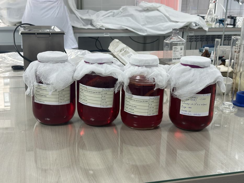 Комбуча, чайный гриб, полезный ферментированный напиток