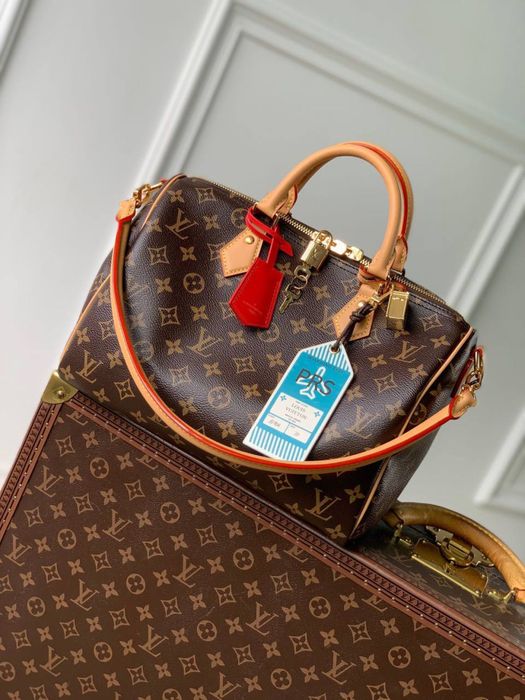 Geanta Louis Vuitton Speedy 30