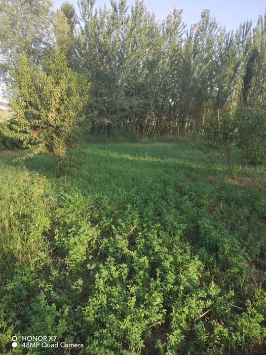 Участка продажа.