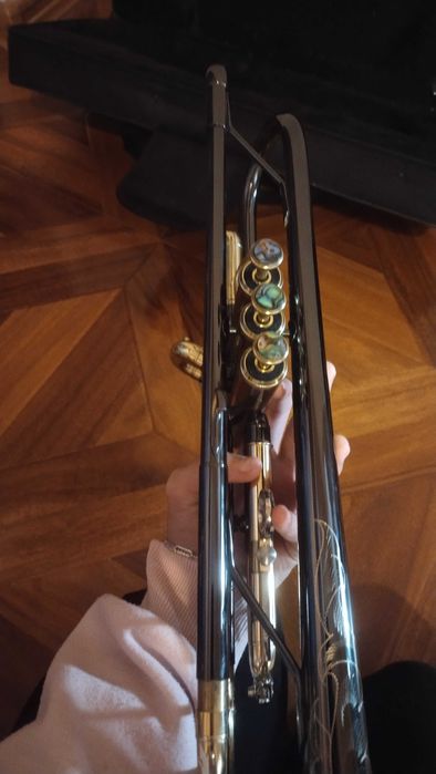 trompetă  profesională