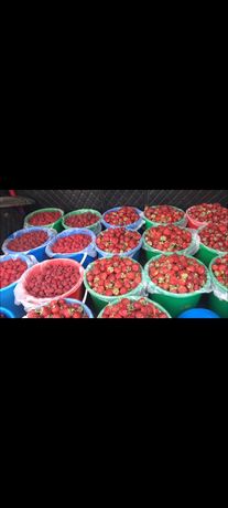 Продам свежие ягоды