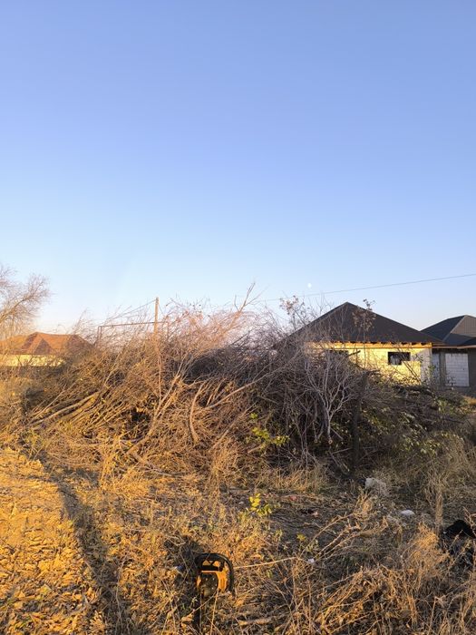 Дрова бесплатно  ,