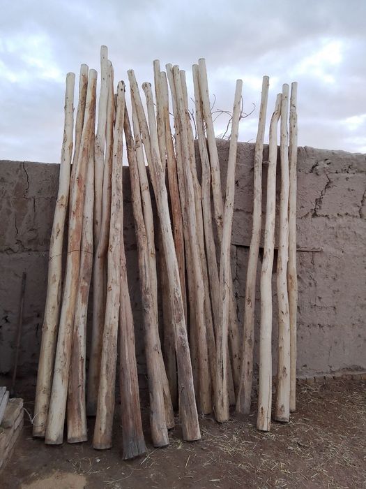 Шу тераклар сотилади