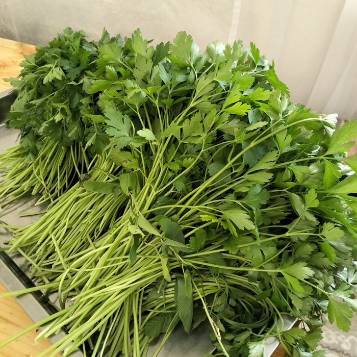 Продам зелень(петрушку)