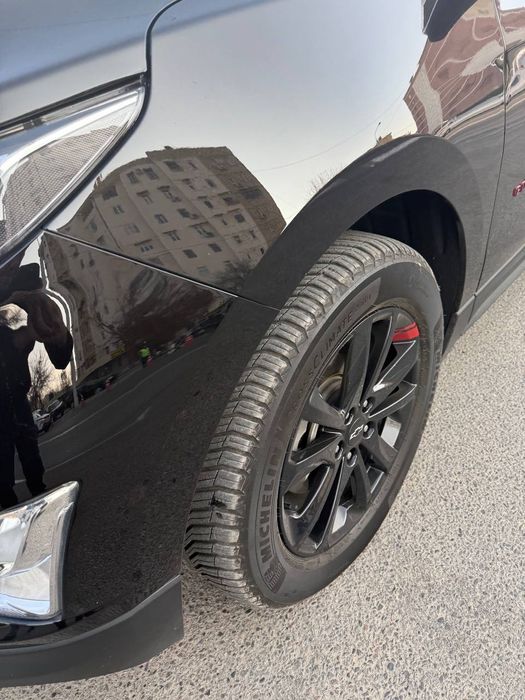 Экюнокс кора цвет