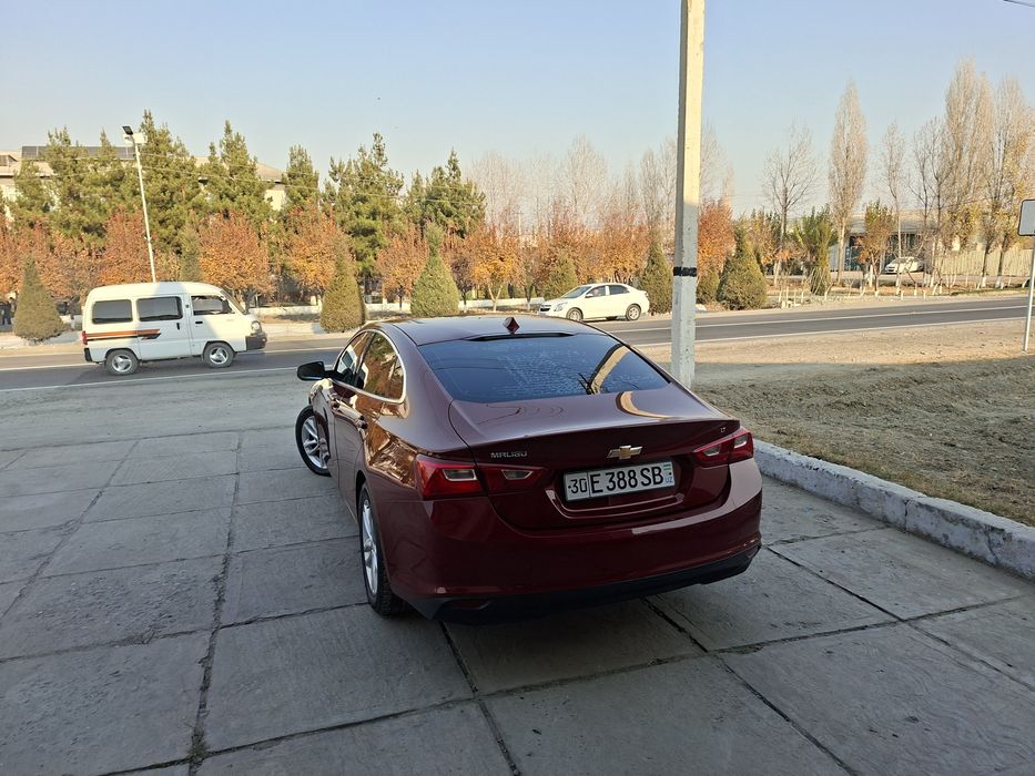 Malibu 2, moshinani xolari zòr