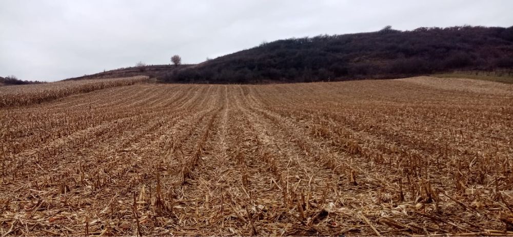 Vand teren extravilan  Slimnic Sibiu