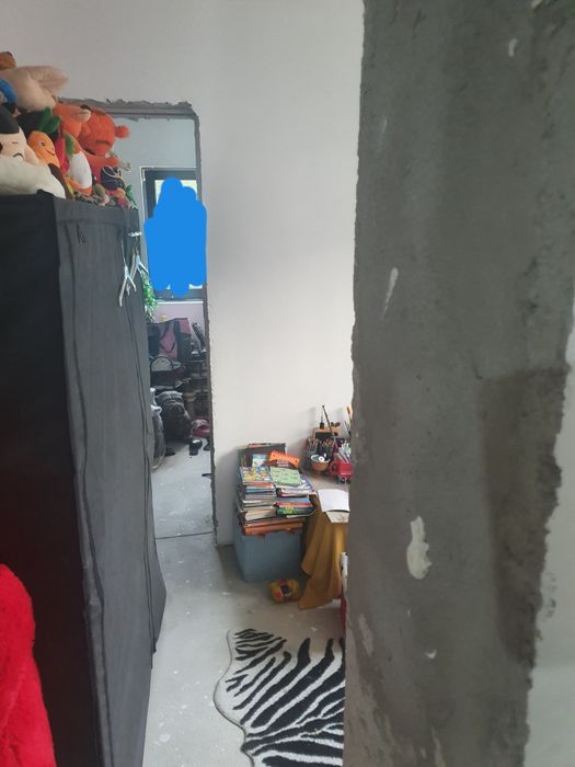 Vand casa in teghes la padure