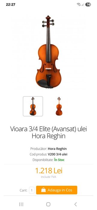 Vioara 3/4 Elite (Avansat) ulei Hora Reghin an 2022