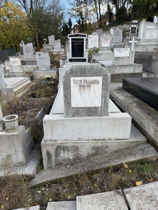 Loc de veci cimitir municipal/livada postei