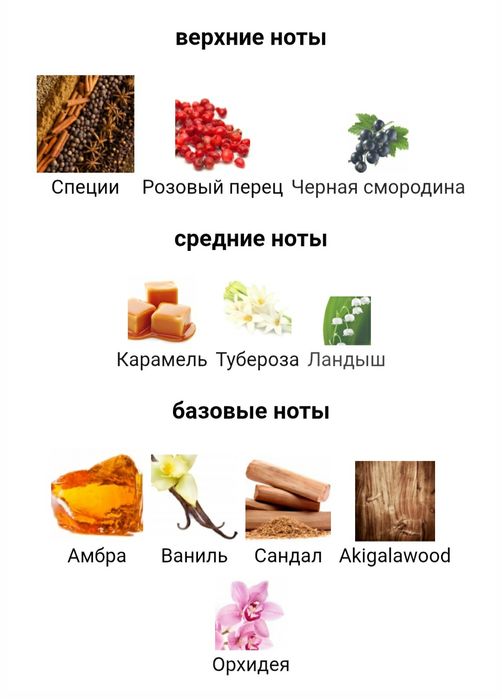 VERSACE Crystal Noir pour femme  parfum