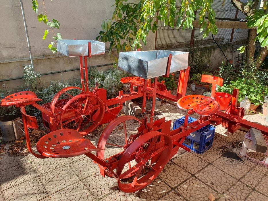 Semanatoare lavandă