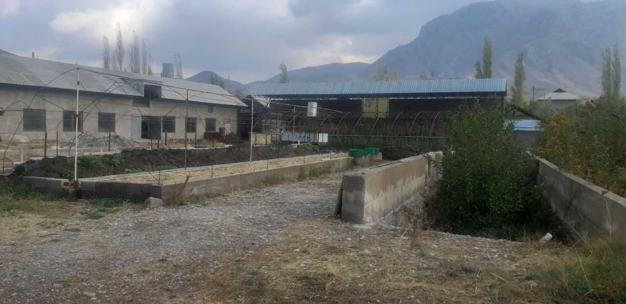 Meva sabzavotlarni quritish va saqlash sex binosi sotiladi