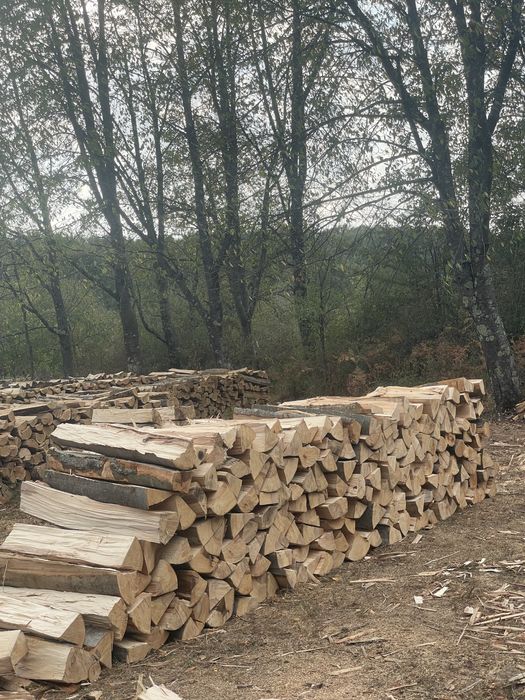 ‼️SC! Comercializăm lemne de foc de cea mai bună calitate!