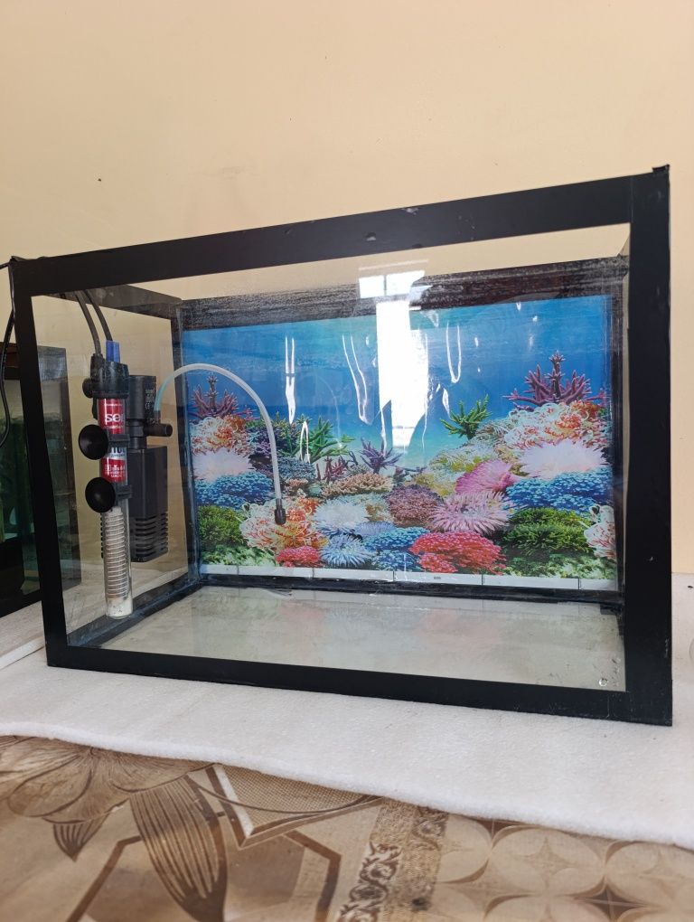 Akvarium sotiladi 40 litir