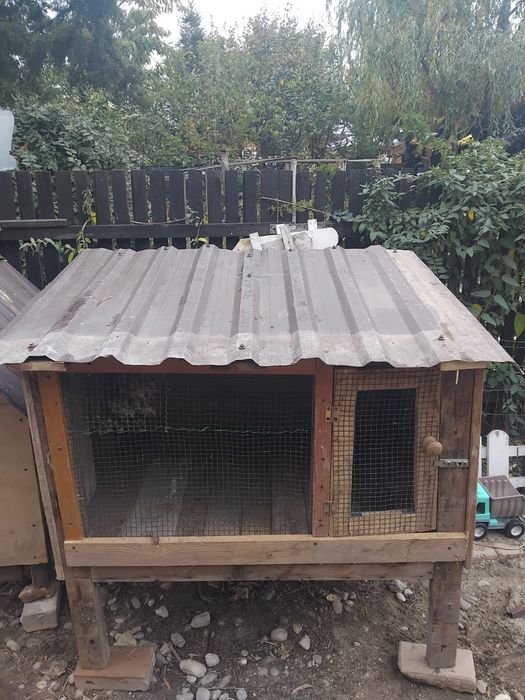 Cușcă iepuri,cușcă de caini