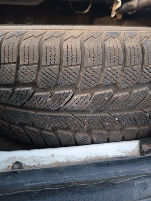 Шины жагдайы жаксы