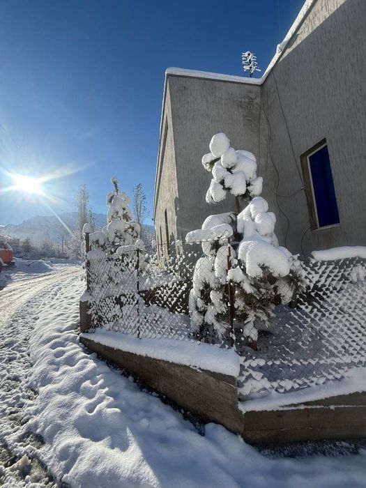 Dacha oilavi va ulfat