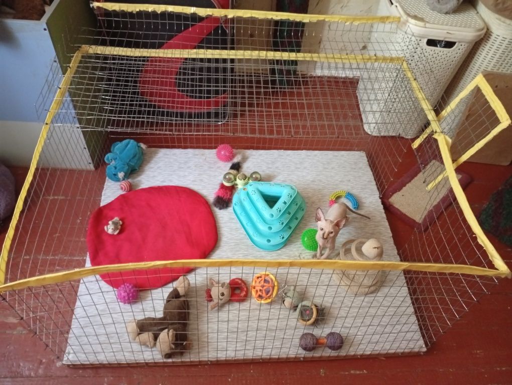Клетка для котят.