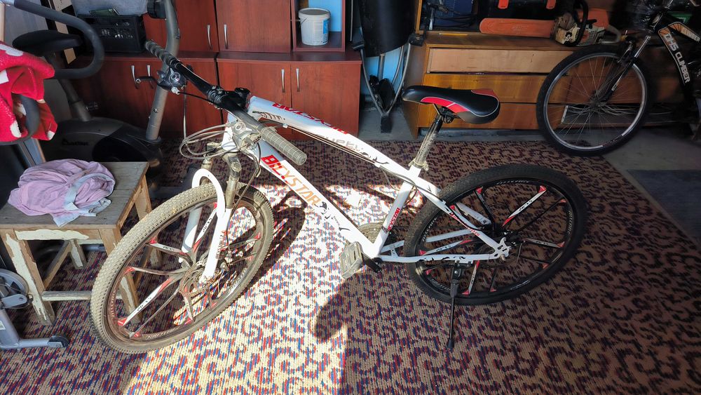 Bicicleta Bicystar Super 26'