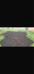 Pamant negru vegetal