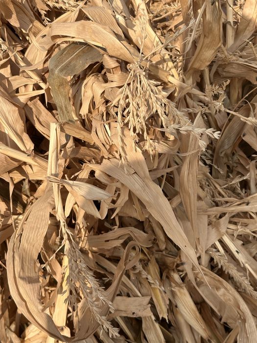 10000 тг болады деп