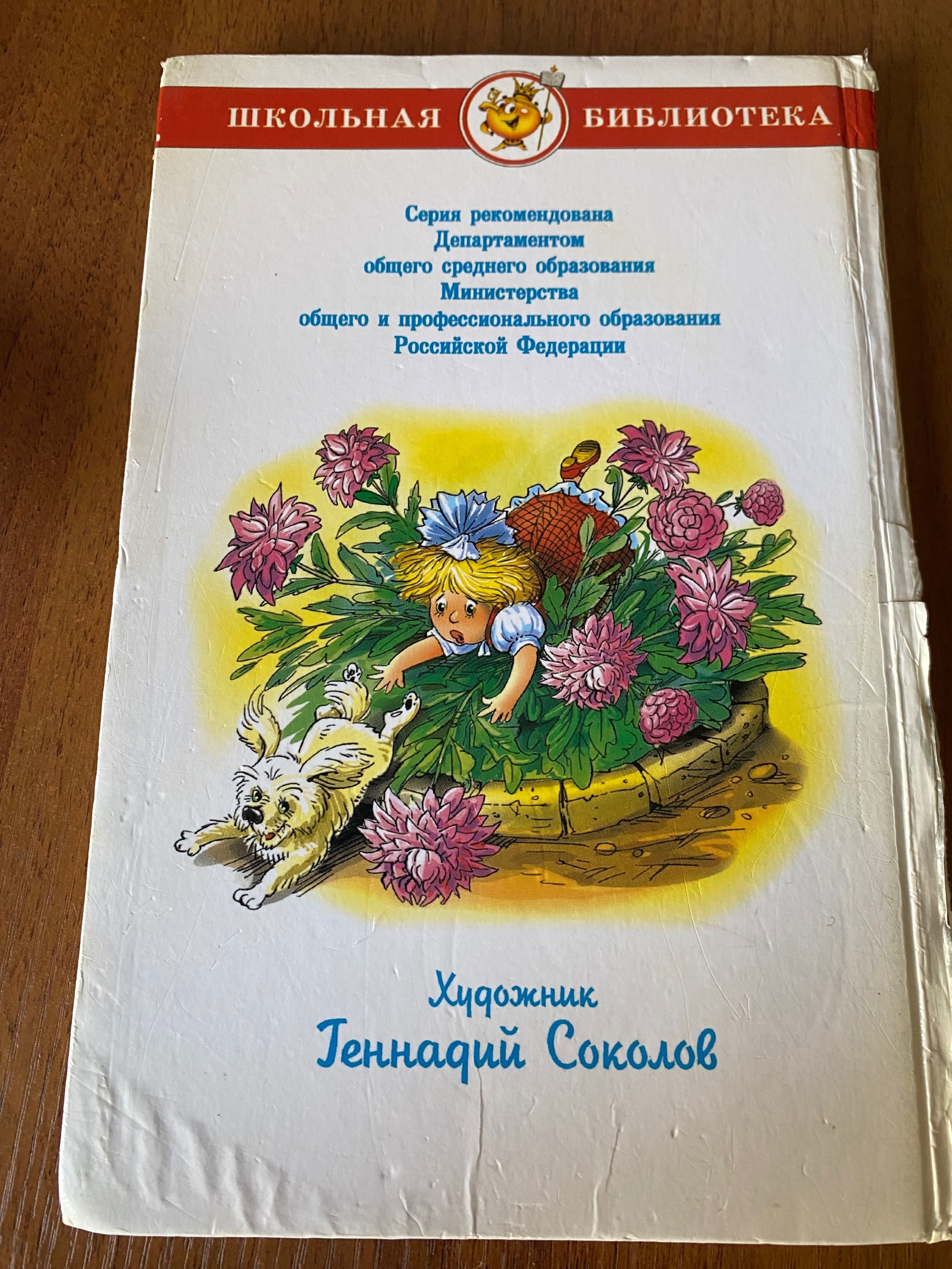 Внеклассное чтение