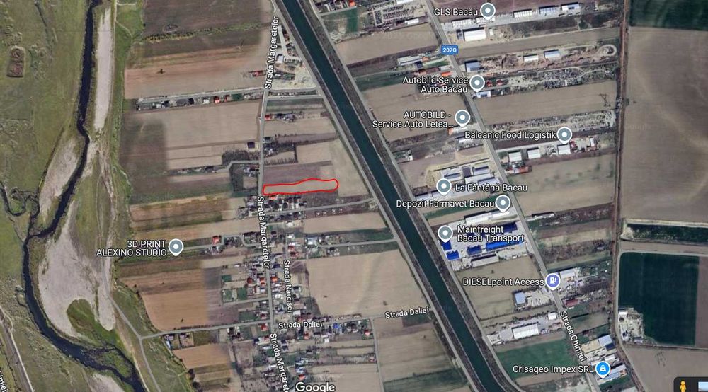 Teren Letea Veche, sat Rusi-Ciutea