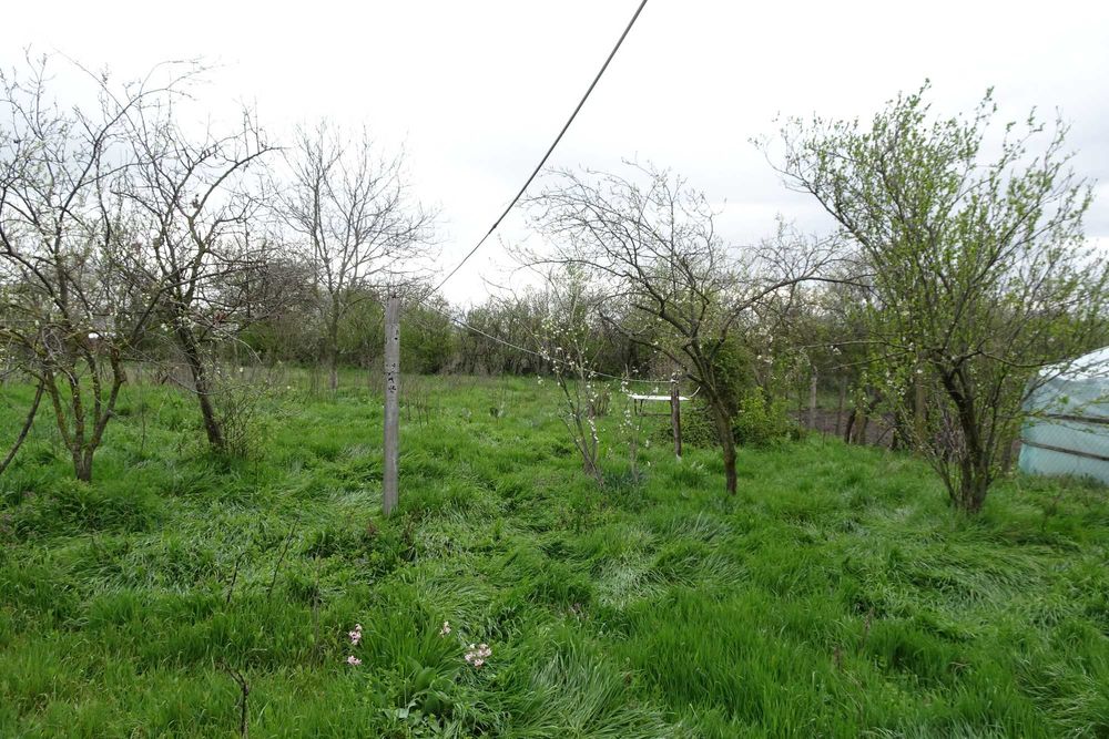 Casa batraneasca cu gradina,  suprafata 2.000m2