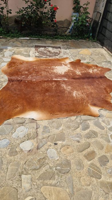 Piele bovina colectie
