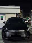 Byd Chazor Flag shep
