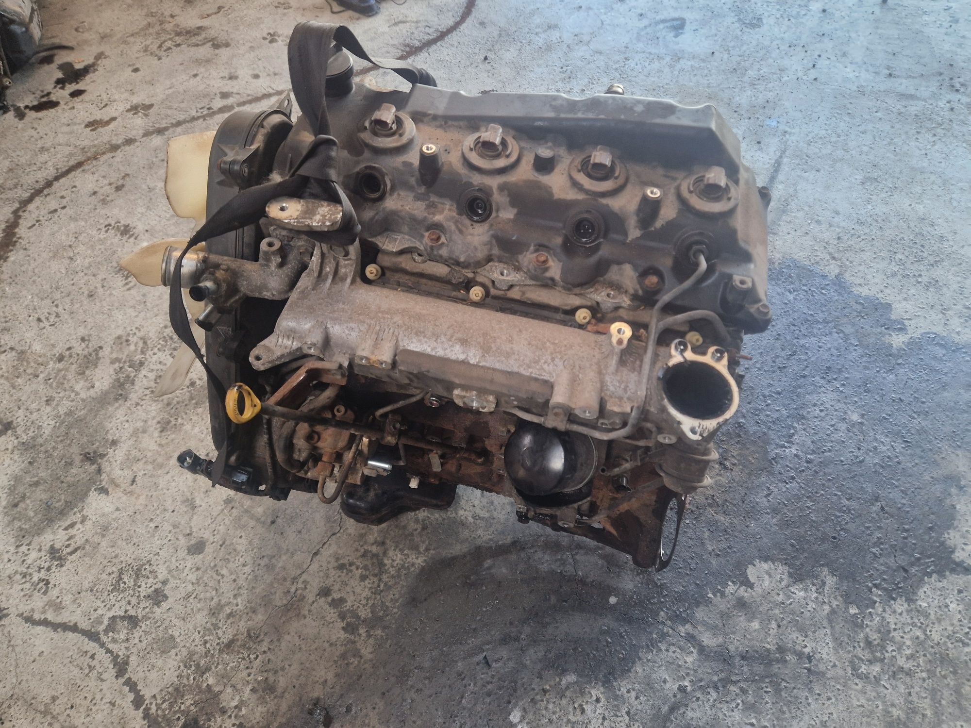 Motor Toyota Land Cruiser/Hilux 3.0 167/171 cp euro 3/4 1KD-FTV