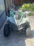 Vand atv de copii cu motor de 1100