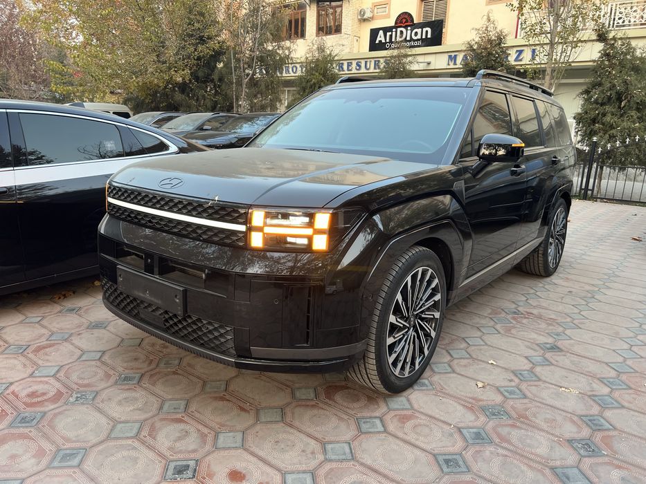 Hyundai Santa Fe Calligraphy