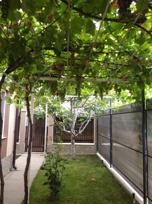 Inchiriez vila D +P+1E Mamaia Nord