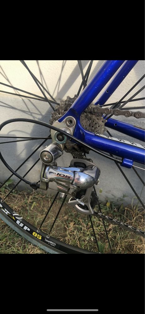Cursiera Cannondale