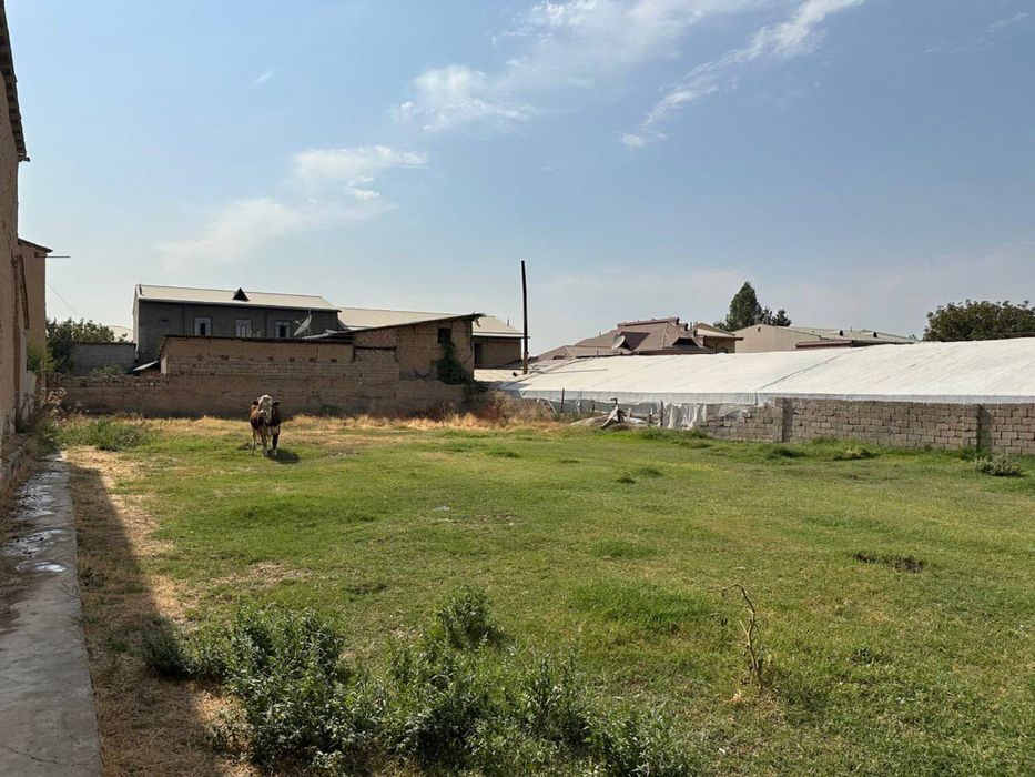 Хасанбой шахар тараф масчитга якин 8 сотих ер