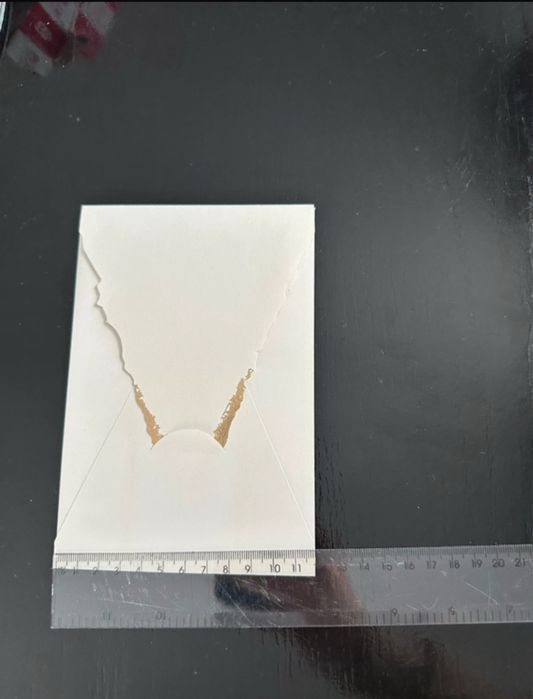 Plicuri invitatii 16x12, 50 bucati