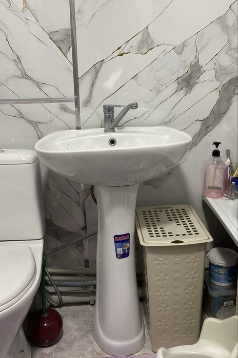 Раковина тульпан