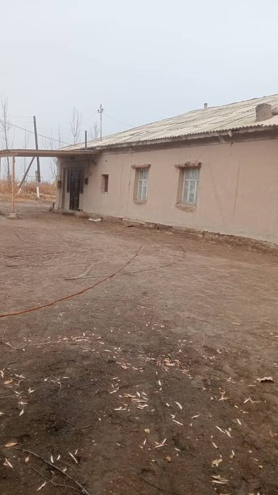 Абай ОФИ да Уй сатылады.