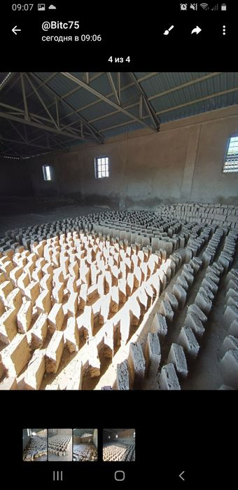 Хом гишт (дипломат )