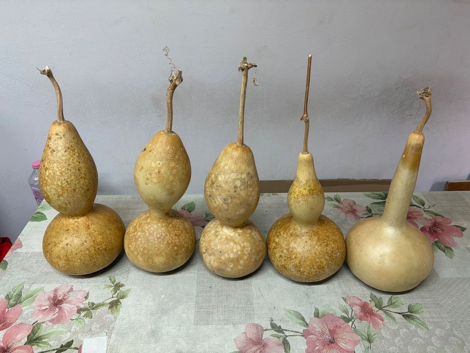 Декоративни кратунки