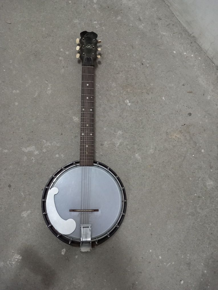 Eko banjo defect rupt