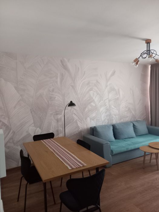 Montaj tapet și fototapet în București și Ilfov