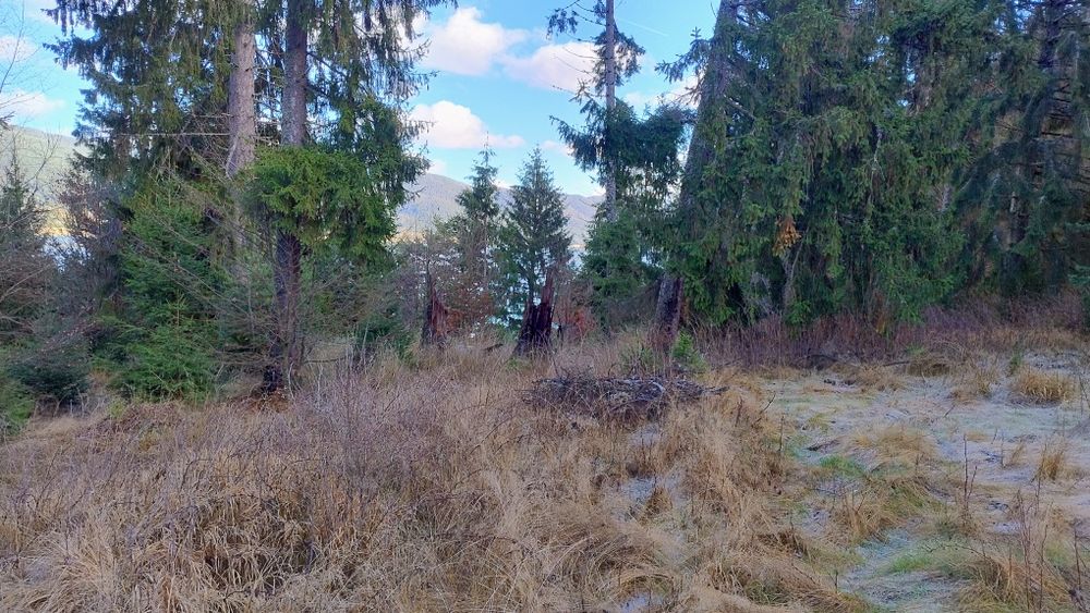 Продава се Парцел в Сърница - 543 кв.м за 57 €/кв.м - Снимка #1