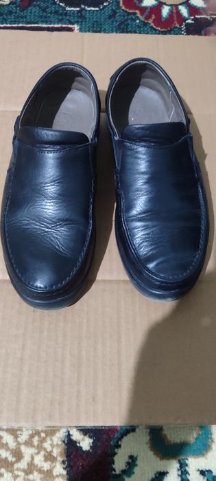 Salamadr tufli yangi