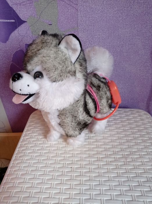 Игрушечная музыкальная собака на батарейках.