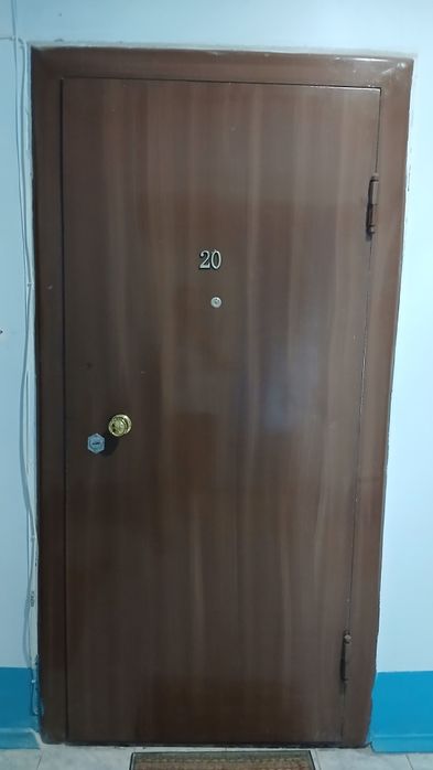 Входная дверь металлическая.